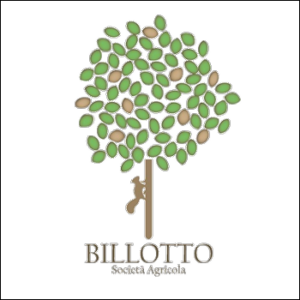 logo-billotto-grande