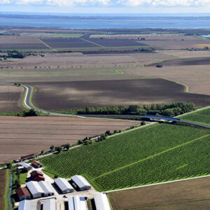 punti-vendita-ilnoceto-di-aurora-campi