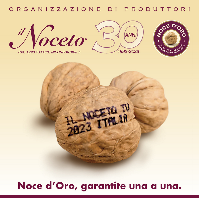 NOCI MARCHIATE